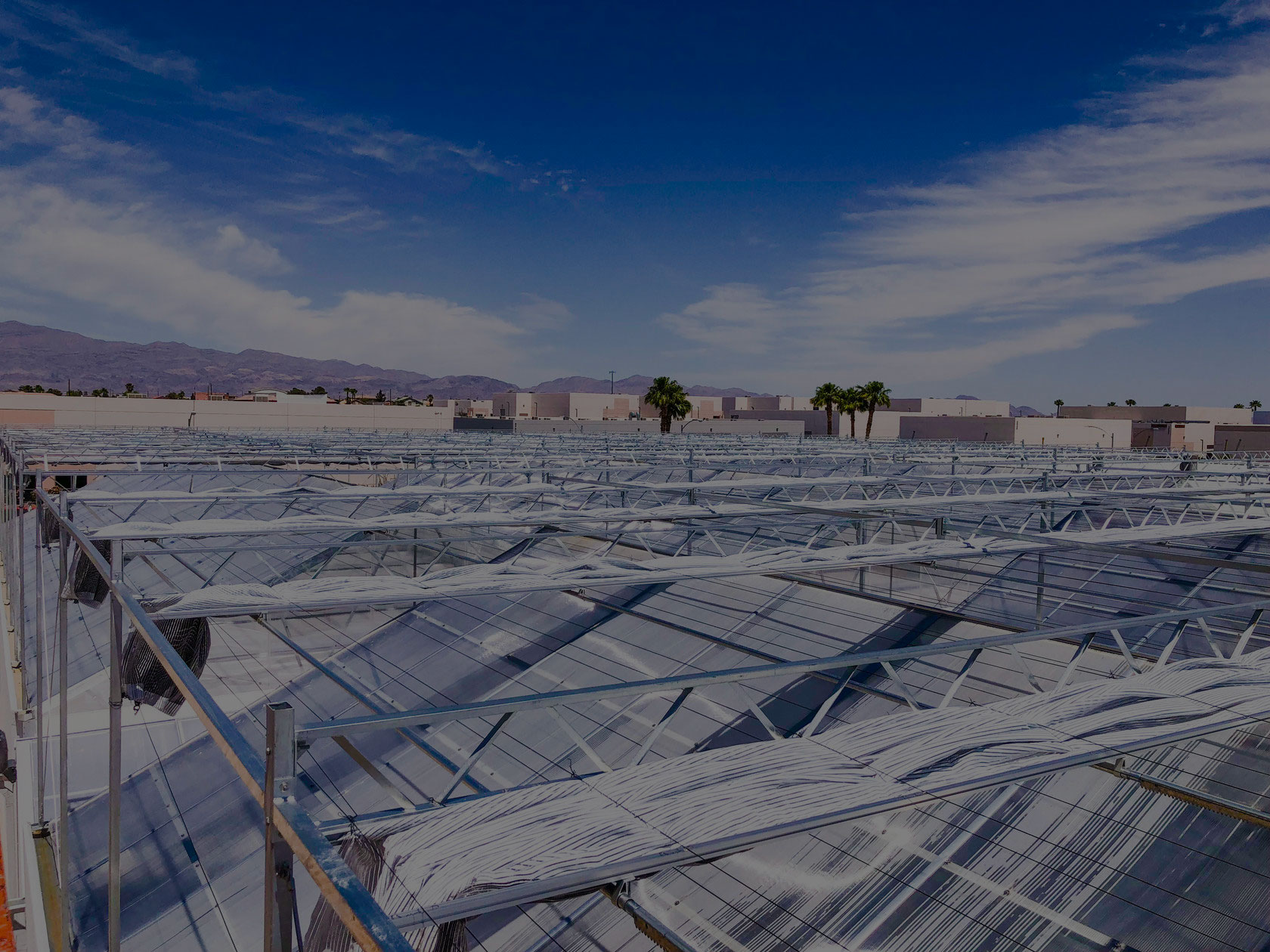 Explaining the Benefits of Greenhouse Cannabis Cultivation