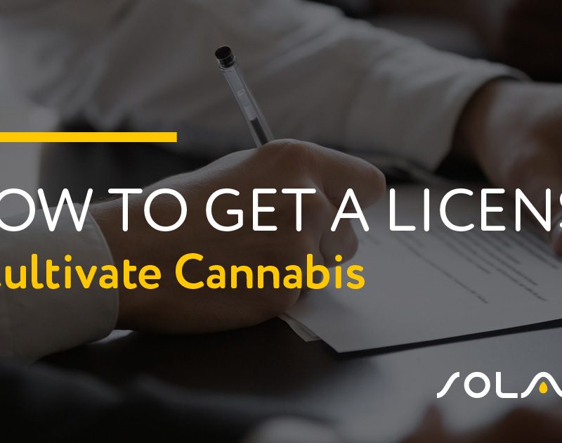 How to Get a License to Cultivate Cannabis