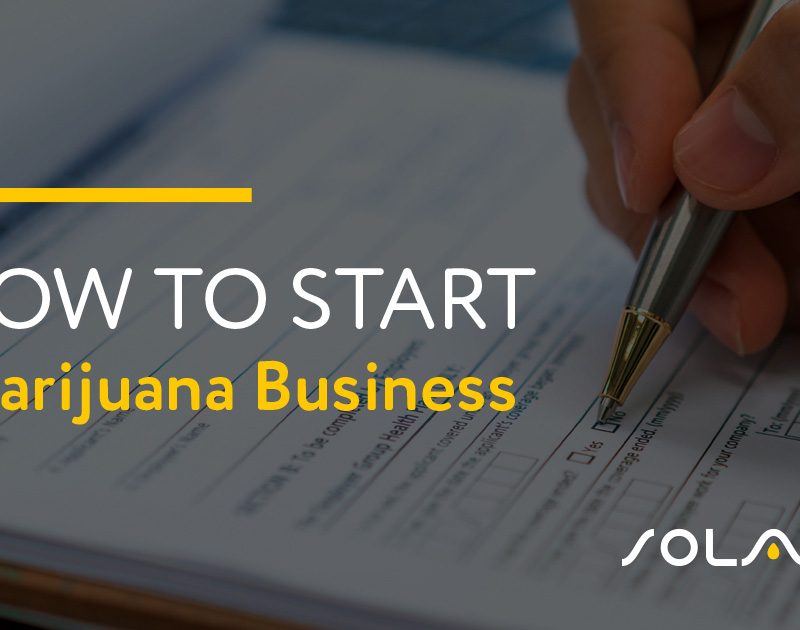 How to Start A Marijuana Business