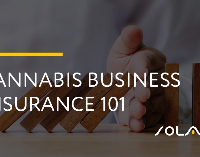 Cannabis Business Insurance 101