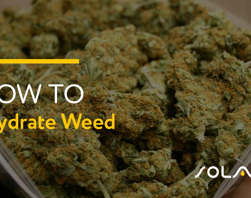 How to Rehydrate Weed