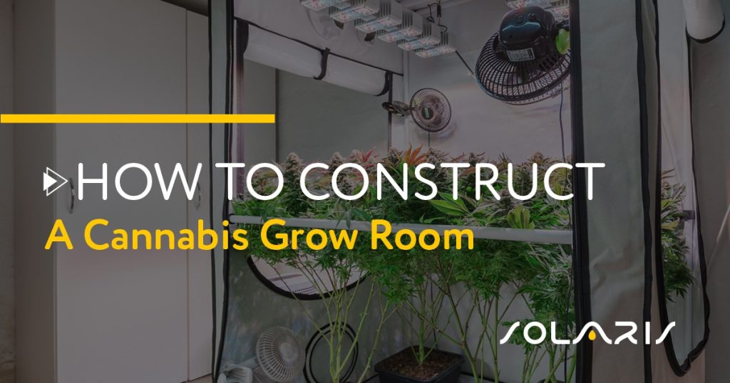How to Construct a Cannabis Grow Room