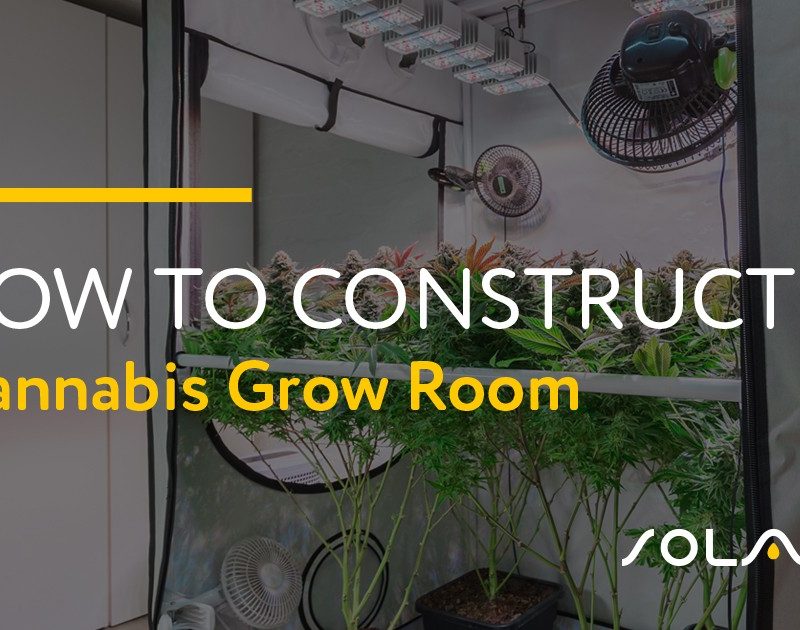 How to Construct a Cannabis Grow Room